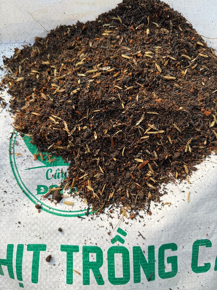 đất trồng trộn sẵn