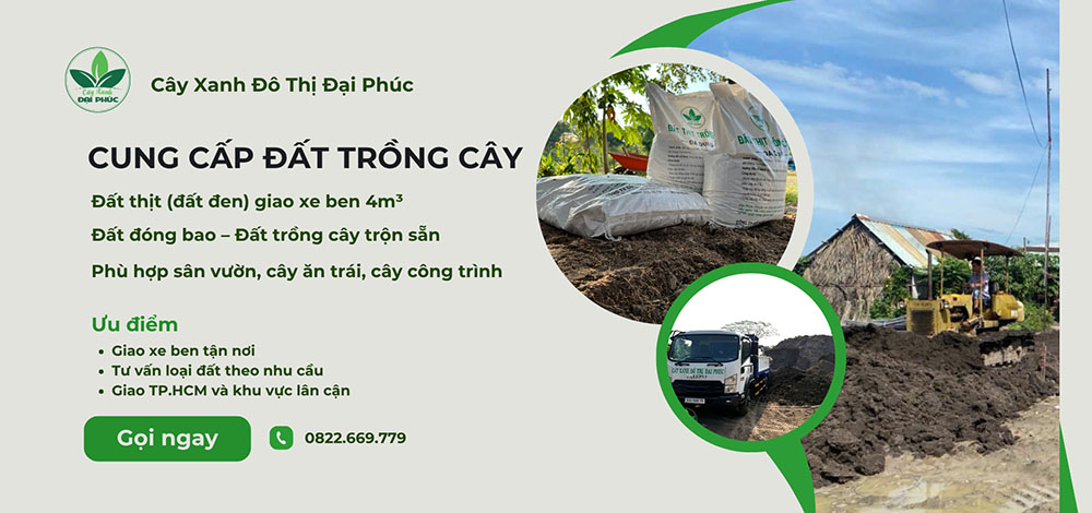 đất trồng cây