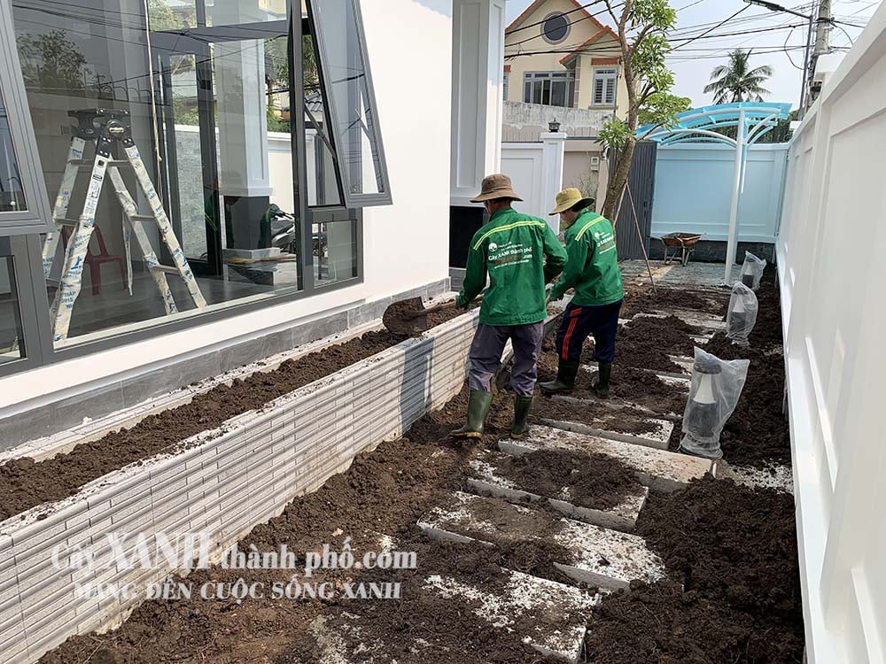 đất thịt trồng cây