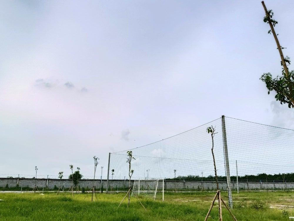 thi công cảnh quan