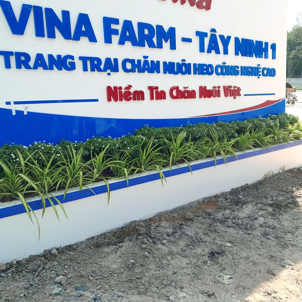 thi công cảnh quan