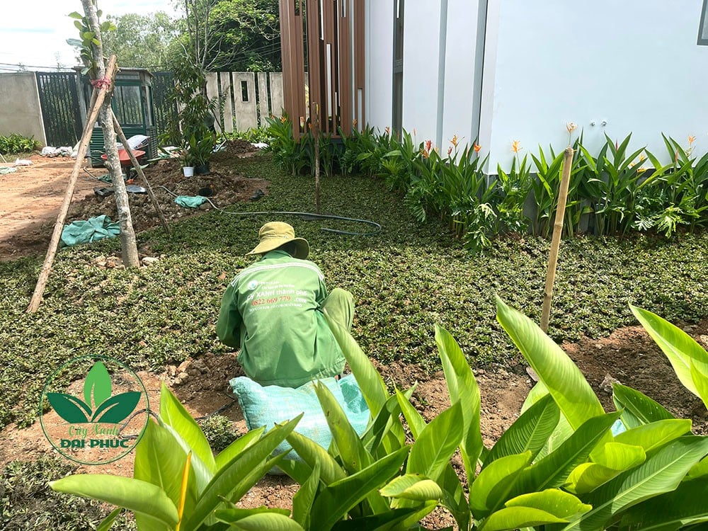 thi công sân vườn