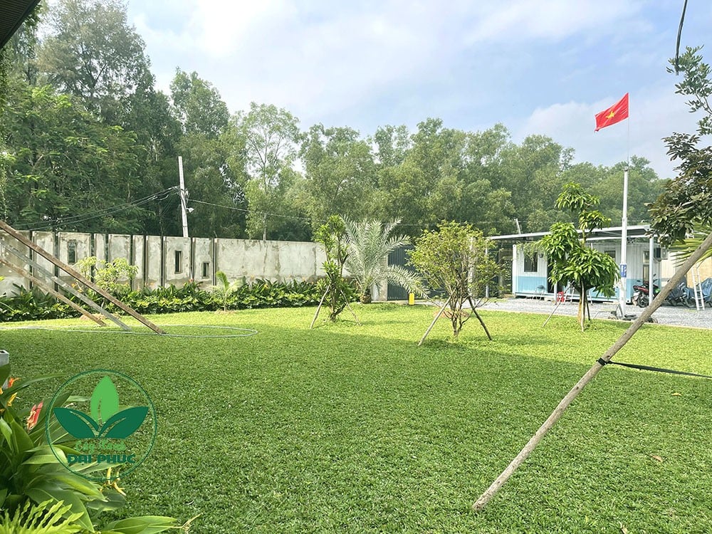 thi công sân vườn