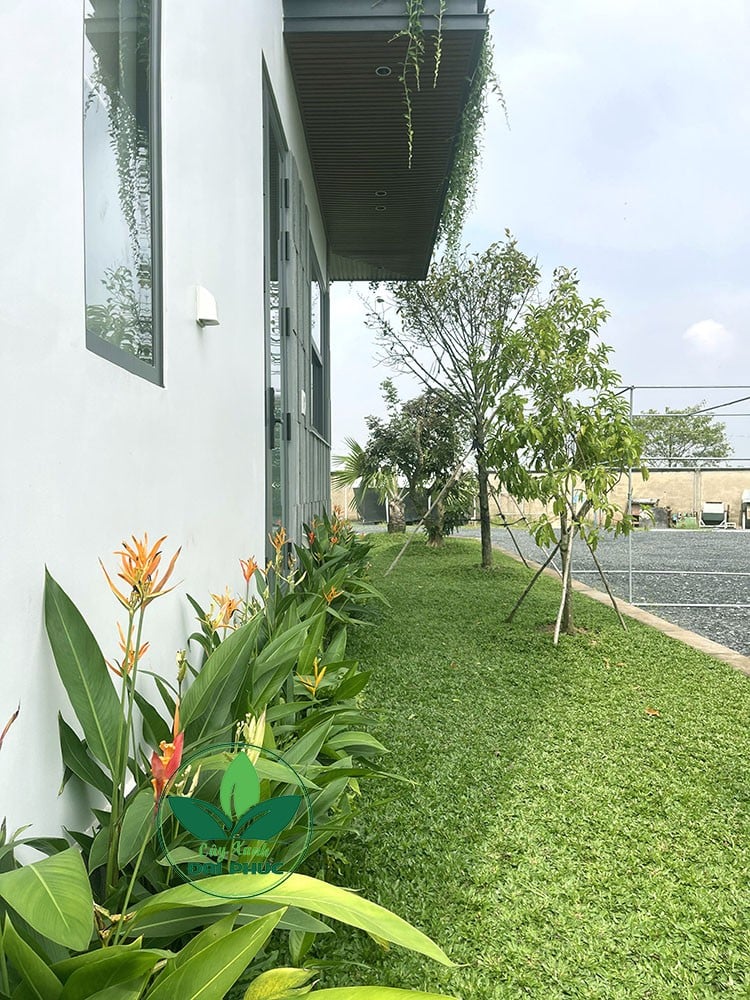 thi công sân vườn