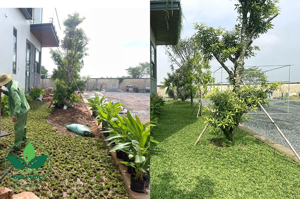 thi công sân vườn