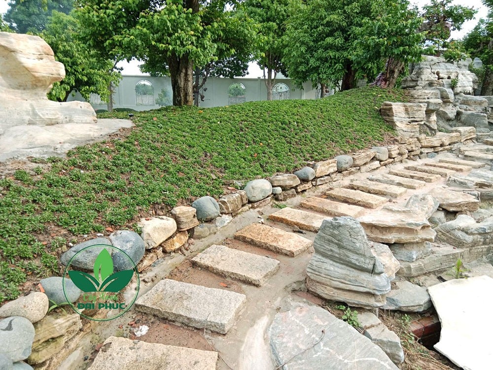 thi công sân vườn