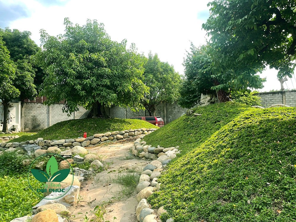 thi công sân vườn