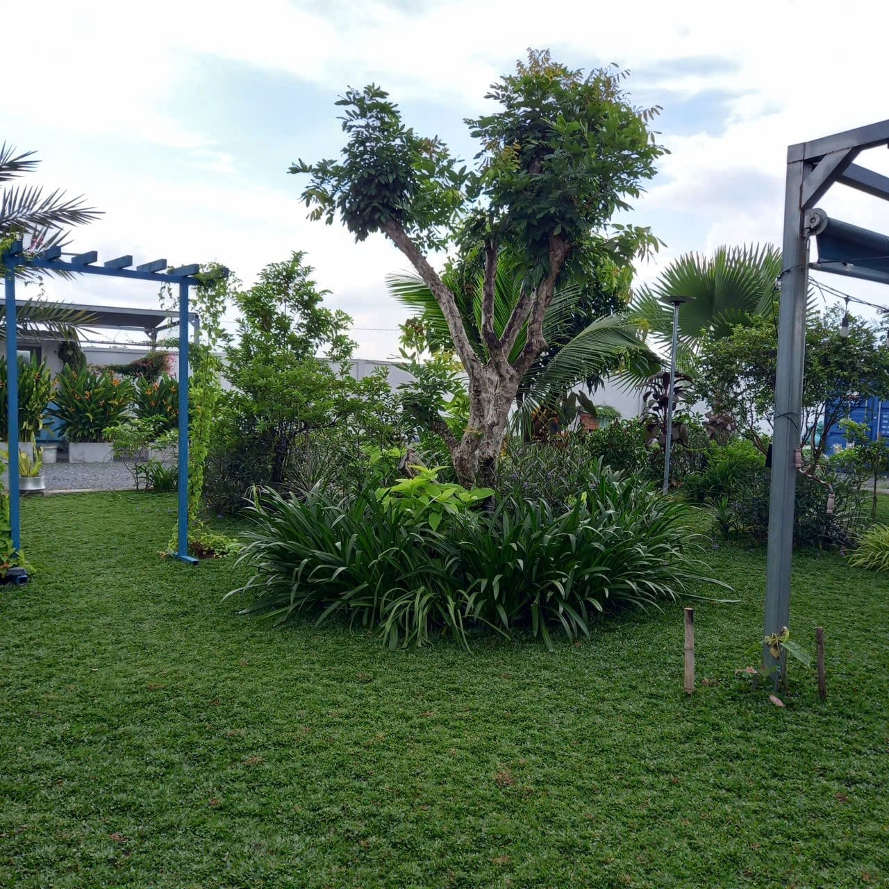 thi công sân vườn