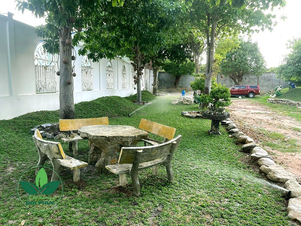 thi công sân vườn