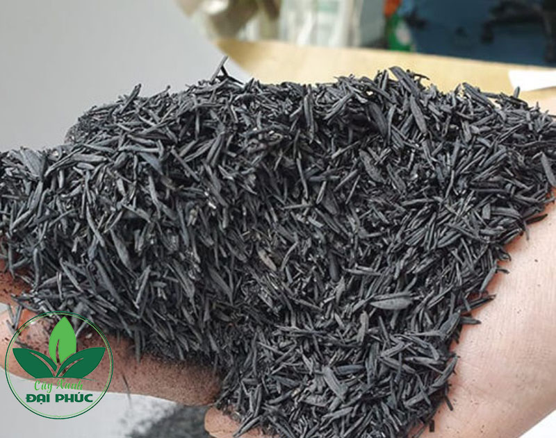 giá thể tro trấu