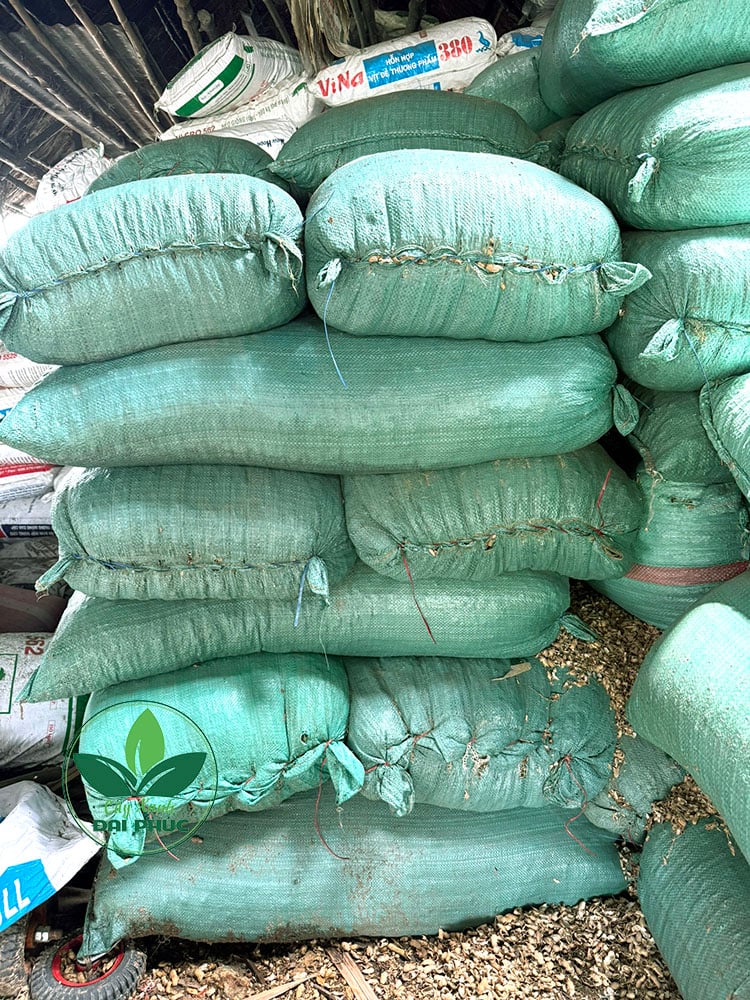 cỏ đậu