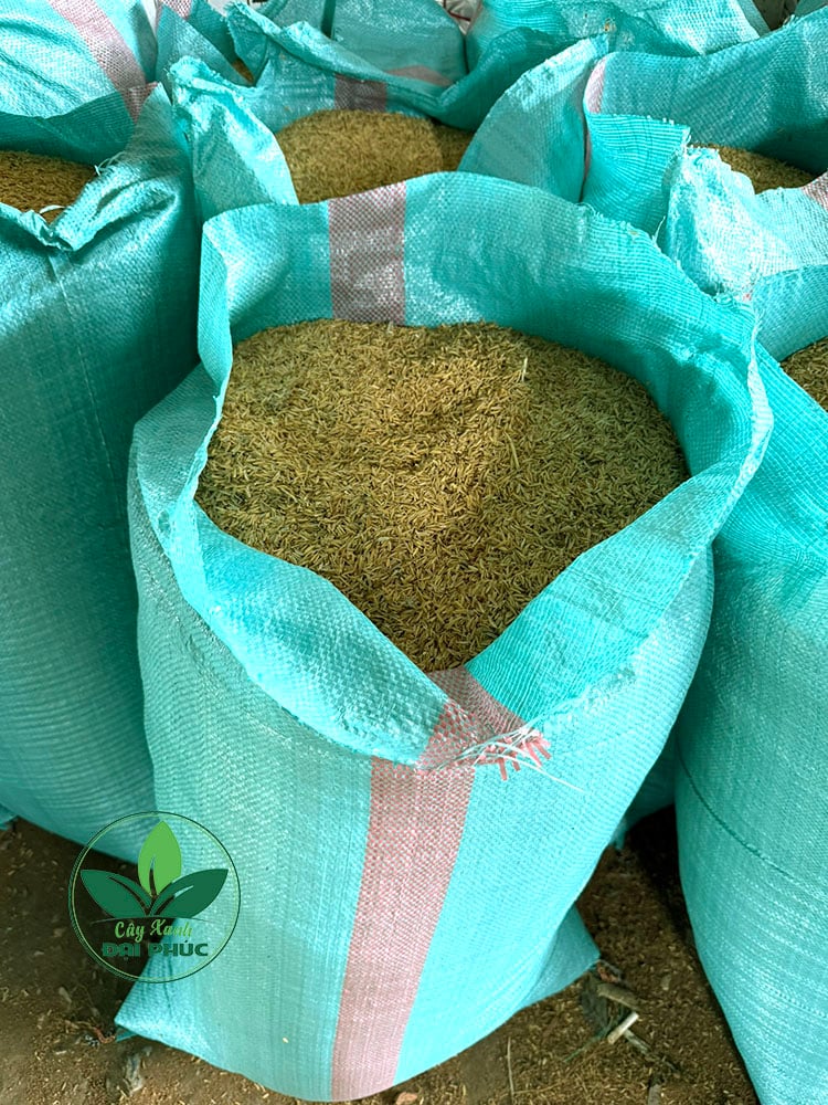 vỏ trấu