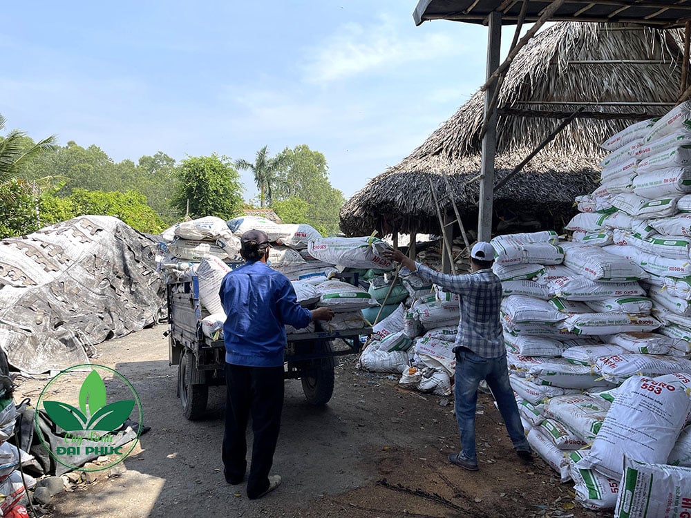 xơ dừa trồng cây