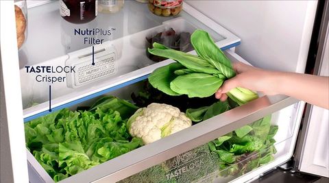 Công nghệ “ngủ đông rau” trên tủ lạnh Hitachi nội địa Nhật