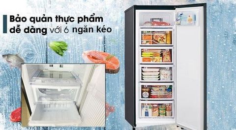 Tủ cấp đông cho hộ kinh doanh: Xu hướng chọn thiết bị nhỏ gọn, tiết kiệm điện