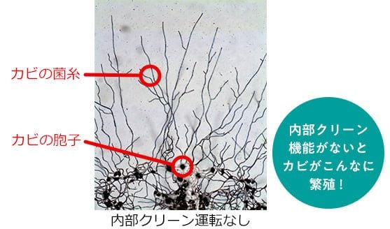 Máy hút ẩm Mitsubishi MJ-P180YX