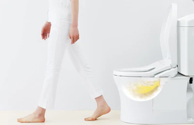 Nắp bồn cầu thông minh TOTO TCF8FKM02