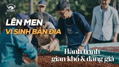 LÊN MEN VI SINH BẢN ĐỊA - HÀNH TRÌNH GIAN KHỔ VÀ ĐÁNG GIÁ