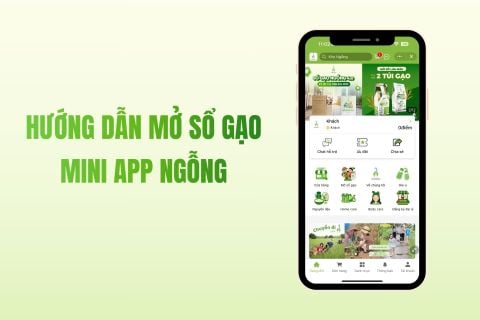 Hướng Dẫn Mở Sổ Gạo Trên Mini App Ngỗng - Việt Nam