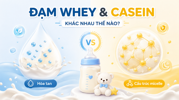So Sánh Đạm Whey Và Casein Trong Sữa Công Thức: Loại Nào Phù Hợp Với Bé?