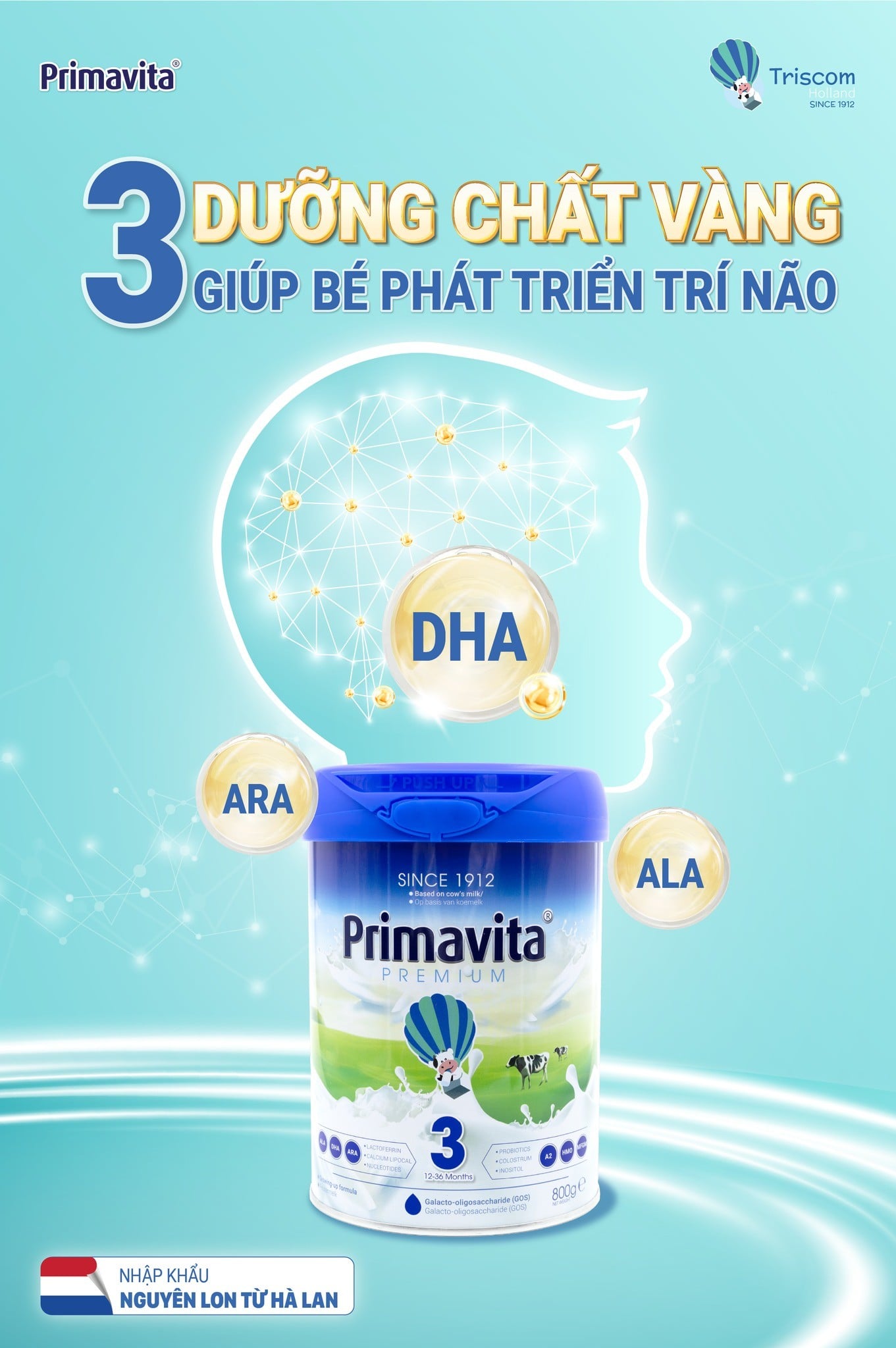 SỮA PRIMAVITA – BỔ SUNG BỘ 03 DƯỠNG CHẤT VÀNG CHO PHÁT TRIỂN TRÍ NÃO CỦA TRẺ!