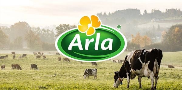 ARLA BABY&ME A2 ORGANIC PHIÊN BẢN MỚI