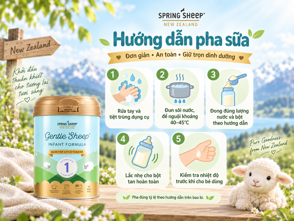 Hướng dẫn pha sữa Spring Sheep NZ số 1 đúng cách