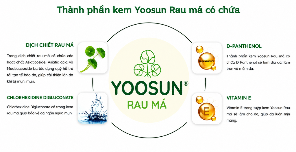 Thành phần nổi bật của kem Yoosun Rau Má 50g