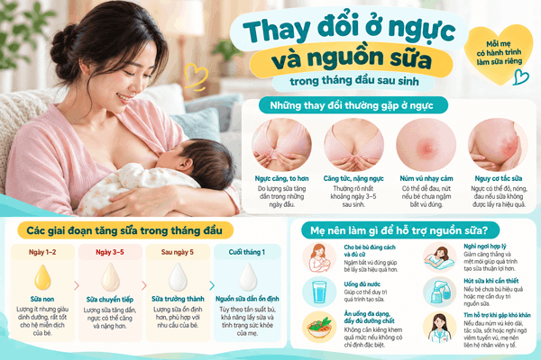 Thay đổi ở ngực và nguồn sữa trong tháng đầu sau sinh