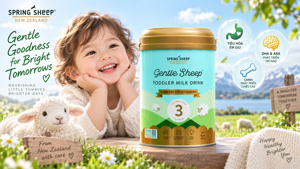 Sữa cừu Spring Sheep NZ số 3 800g cho bé 12-36 tháng