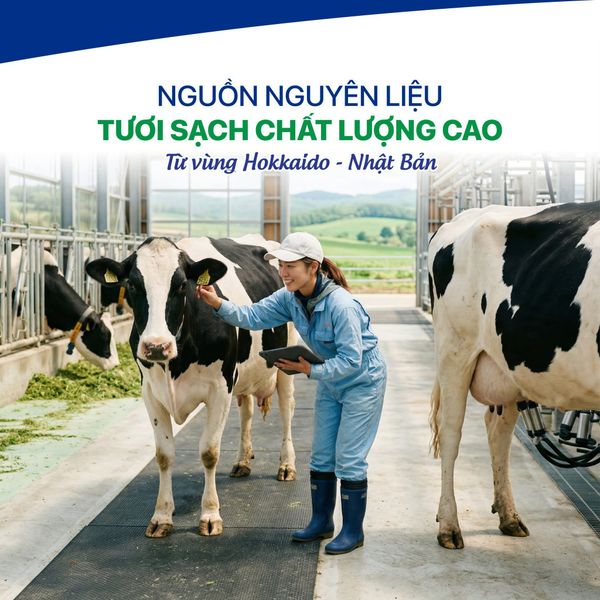 Bean Stalk – Sữa cho bé khỏe