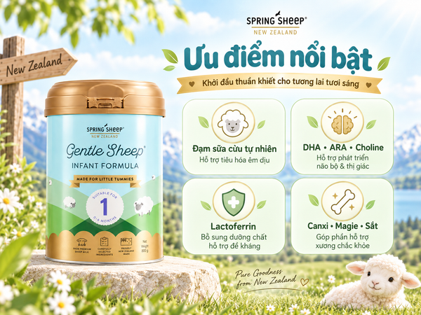 Ưu điểm nổi bật của sữa cừu Spring Sheep NZ số 1