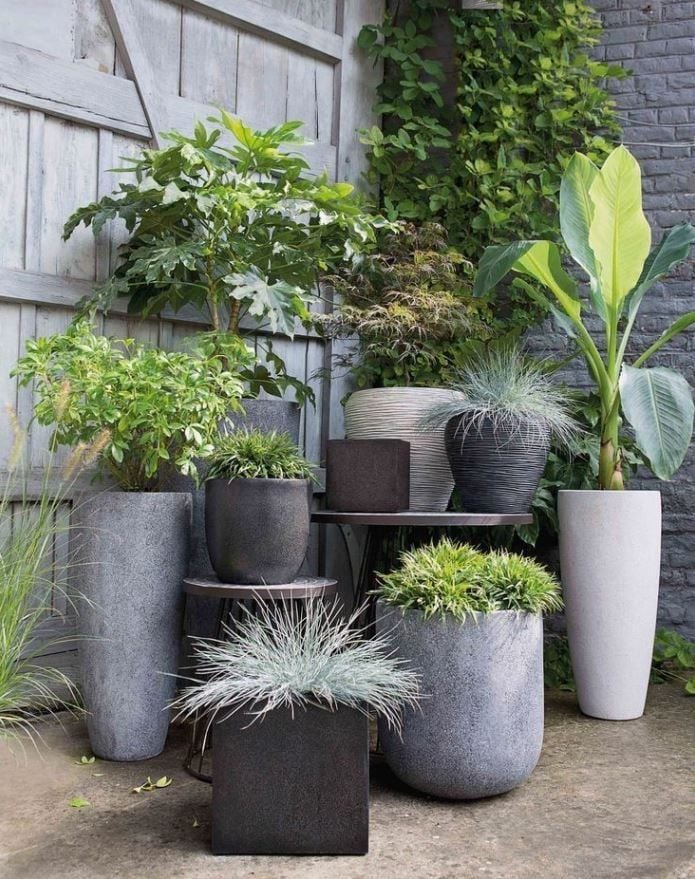 brackets for hanging plants Amagabeli 2 Pack Hanging Plants Brackets 12" Wall Planter Hooks Hanger
