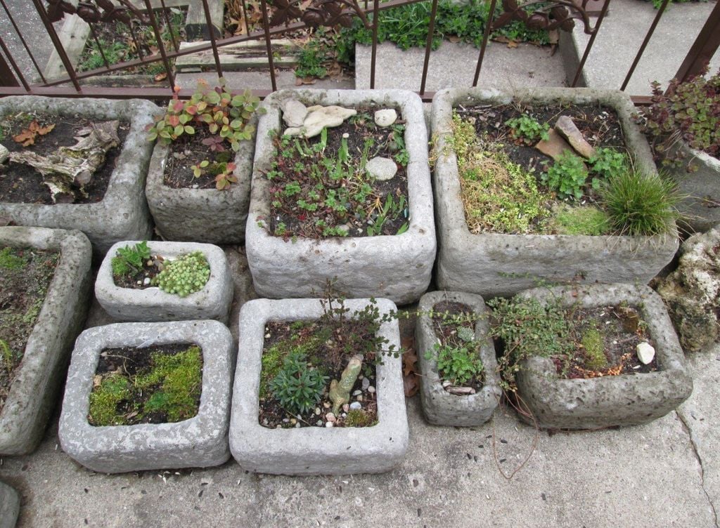 How to Make Hypertufa Pots Easily at Home