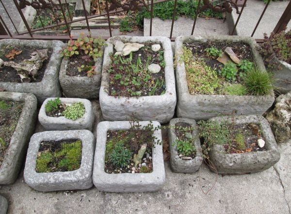 How to Make Hypertufa Pots Easily at Home