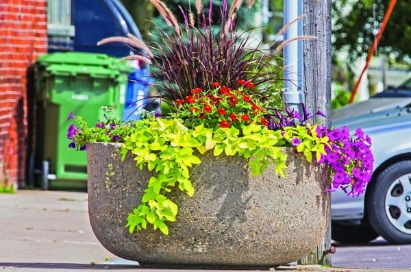 The Ultimate Guide to Making Concrete Planters