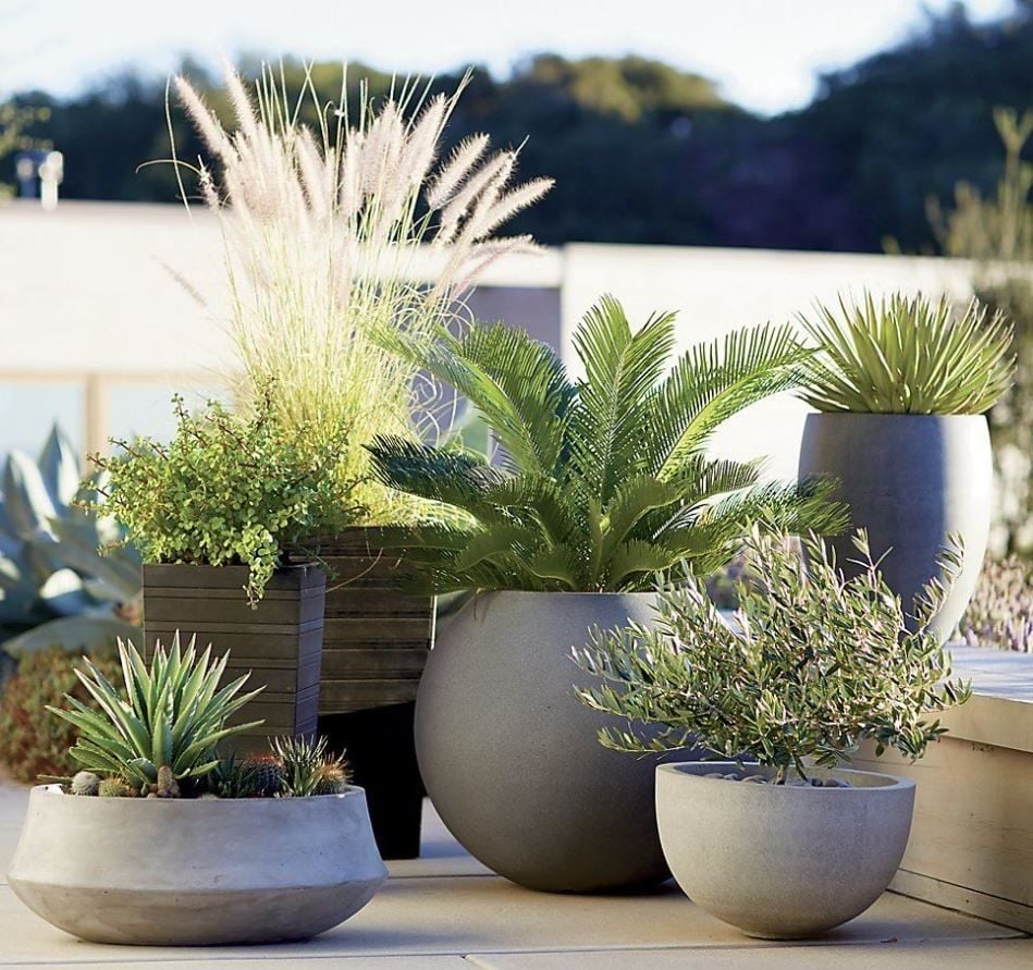 Top 10 Trusted Plant Pot Manufacturers in Vietnam
