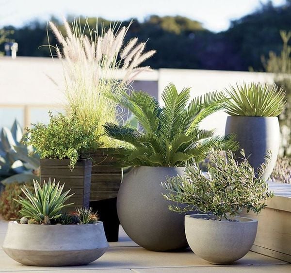 Top 10 Trusted Plant Pot Manufacturers in Vietnam