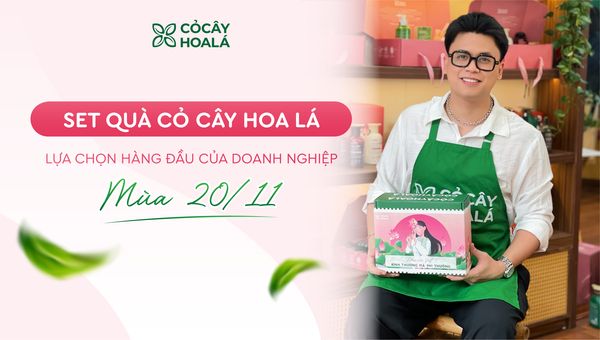 Set quà doanh nghiệp 20/11 ý nghĩa – Thay lời tri ân gửi đến thầy cô