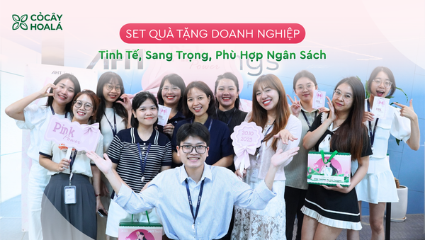 Set Quà Tặng Doanh Nghiệp Tinh Tế, Sang Trọng, Phù Hợp Ngân Sách