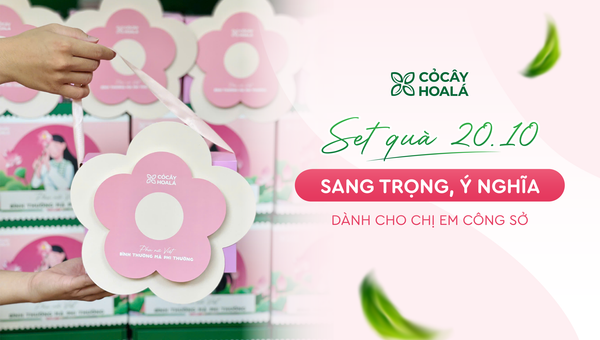 Set quà 20/10 sang trọng, ý nghĩa dành cho chị em công sở