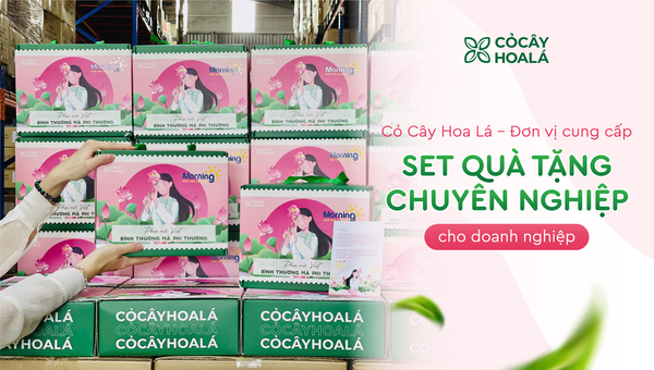 Cỏ Cây Hoa Lá – Đơn vị cung cấp set quà tặng chuyên nghiệp cho doanh nghiệp