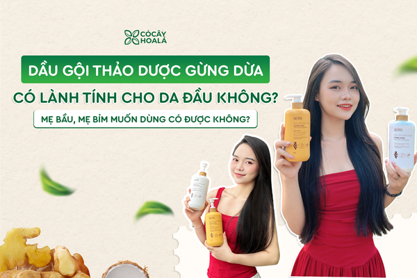 Dầu gội thảo dược Gừng Dừa có dịu nhẹ, lành tính cho da đầu không? Mẹ bầu, mẹ bỉm muốn dùng có được không?