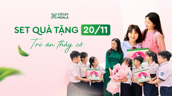 Set quà 20/11 “Bình thường mà Phi thường”, lời tri ân dịu dàng gửi đến những người lái đò thầm lặng