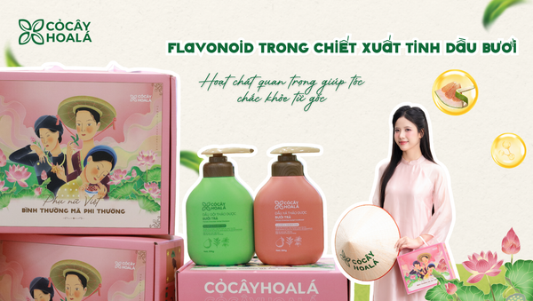 Flavonoid trong chiết xuất tinh dầu bưởi: Hoạt chất quan trọng giúp tóc chắc khỏe từ gốc