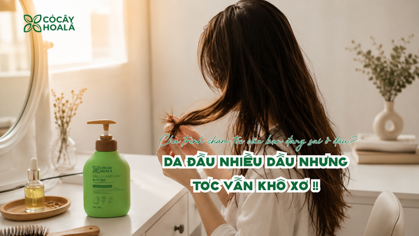 Da đầu nhiều dầu nhưng tóc vẫn khô xơ? Có thể bạn đang chăm tóc sai cách