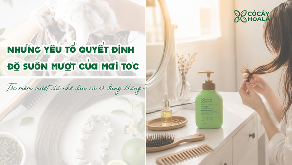 Tóc mềm mượt không chỉ nhờ dầu xả: Những yếu tố quyết định độ suôn mượt của mái tóc