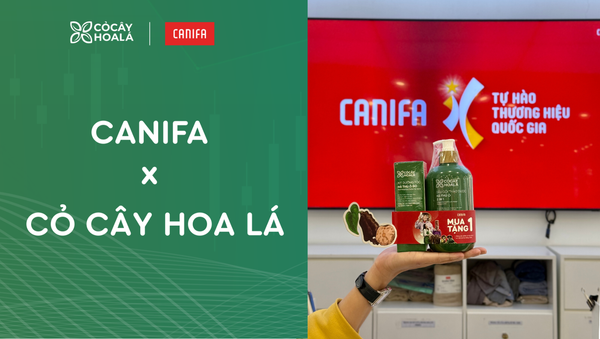 Canifa bắt tay Cỏ Cây Hoa Lá, lan tỏa tinh thần 