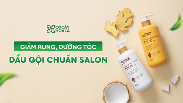Sự kết hợp của dầu Argan, dầu Dừa, chiết xuất lá Olive và chiết xuất hạt Nho trong dầu gội xả Gừng Dừa giúp tóc suôn mượt và tăng độ bóng khỏe