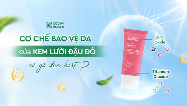 Zinc Oxide & Titanium Dioxide: Hai màng lọc chống nắng vật lý đứng sau cơ chế bảo vệ da của Kem Lười Đậu Đỏ